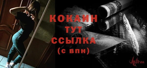 бошки Няндома