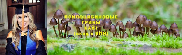 бошки Няндома