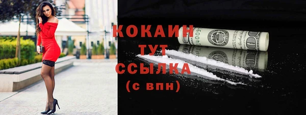 бошки Няндома