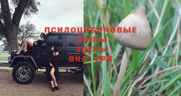 героин Нязепетровск