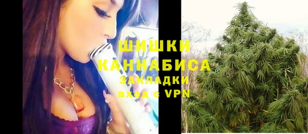 бошки Няндома