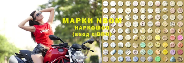 бошки Няндома