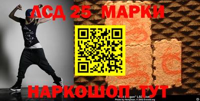 крисы Аргун