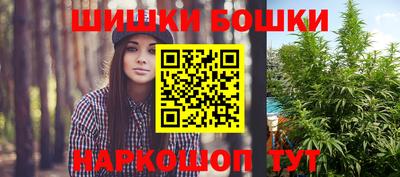 крисы Аргун