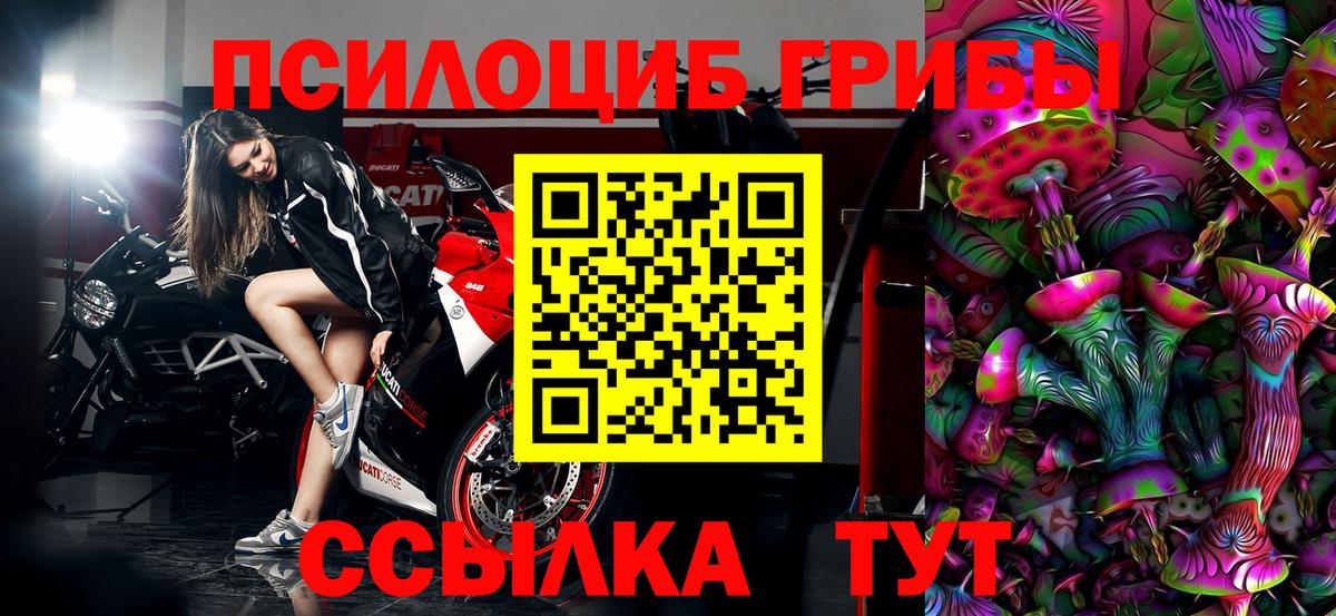 Галлюциногенные грибы прущие грибы Ковров