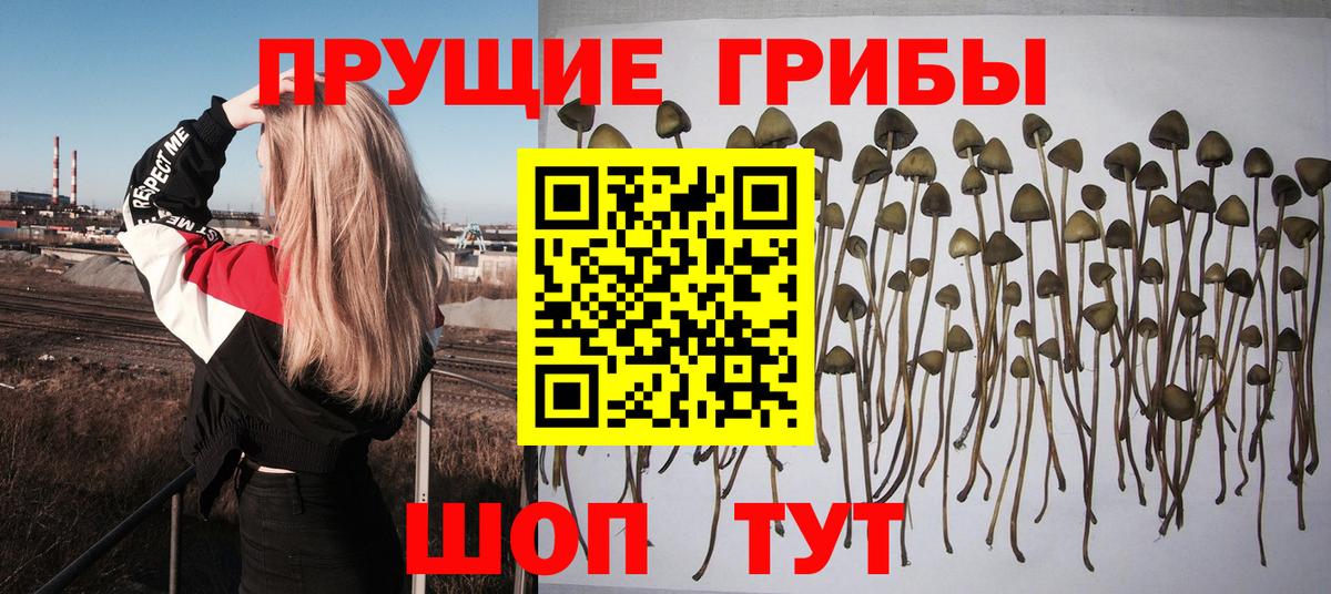 Псилоцибиновые грибы MAGIC MUSHROOMS  Ковров  Галлюциногенные грибы мухоморы 
