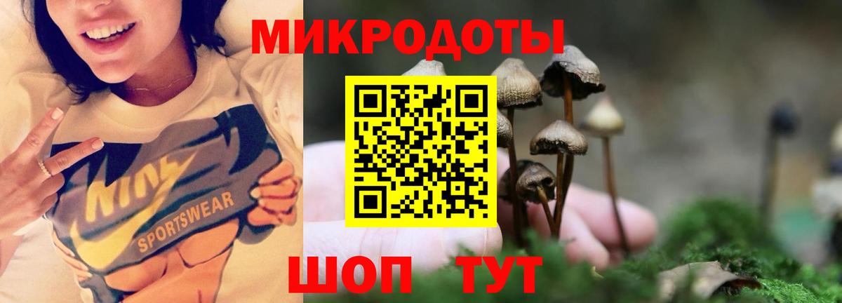 Ковров  закладки  Вход с VPN  Псилоцибиновые грибы GOLDEN TEACHER 